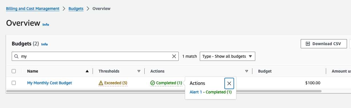 AWS Budgets overview and status