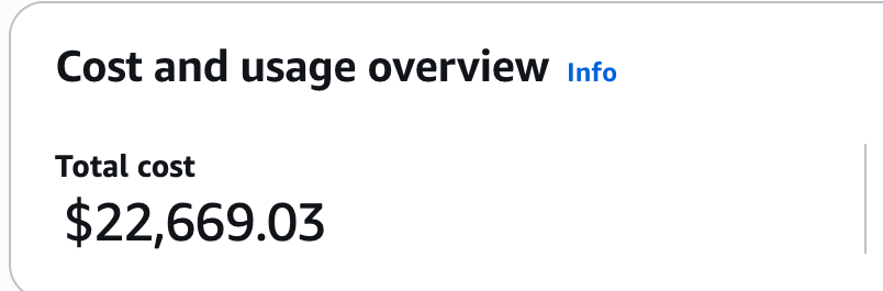 Raw costs are $22,669.03.