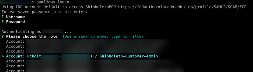../../../_images/saml2aws-login.png